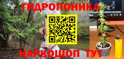 крисы Ликино-Дулёво