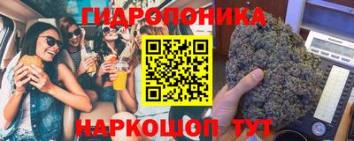 гашик Лесосибирск