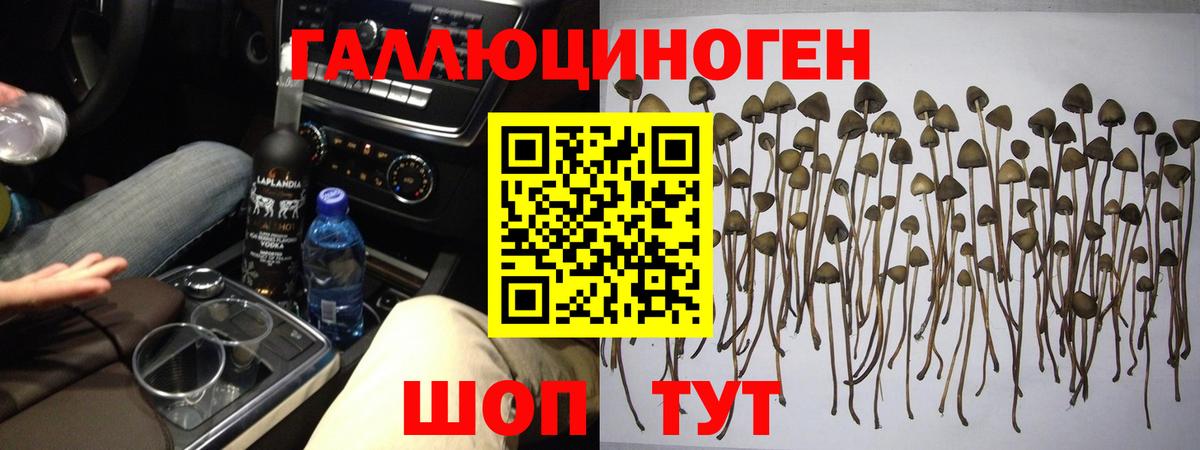 Галлюциногенные грибы GOLDEN TEACHER Зеленокумск