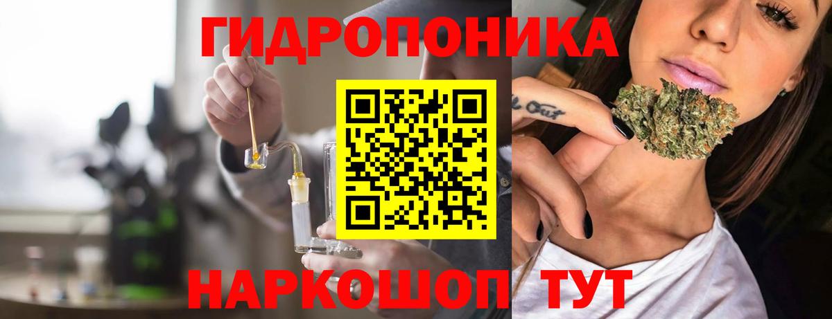 Зеленокумск  Марихуана план  Вход с VPN  Марихуана тримм  МАРИХУАНА индика 